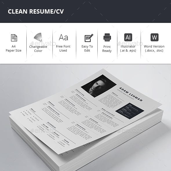 Clean Resume/CV